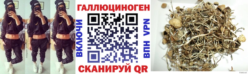 Галлюциногенные грибы GOLDEN TEACHER  хочу наркоту  Афипский 